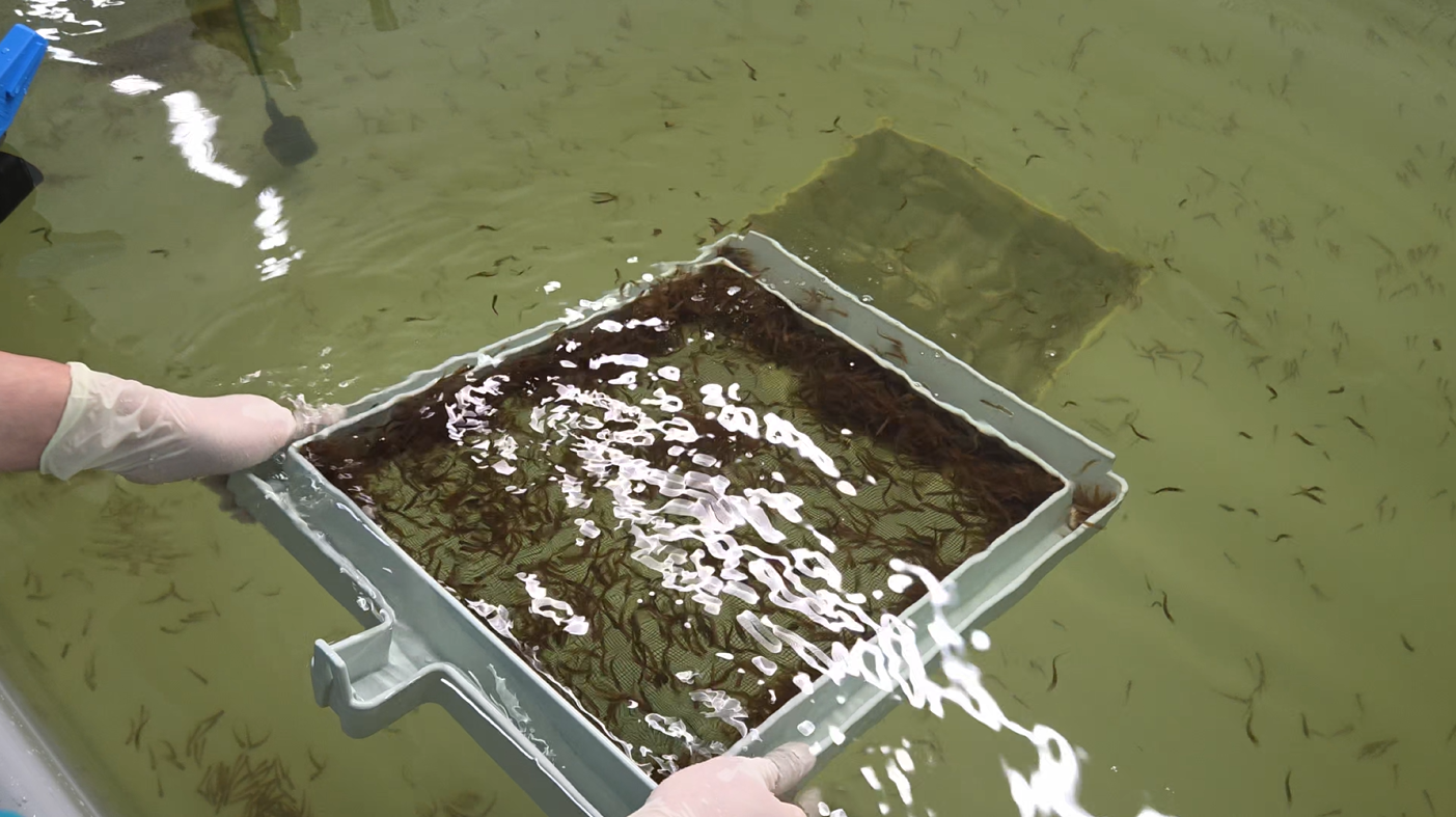 2025.06. Batch#2 RAS1 이송