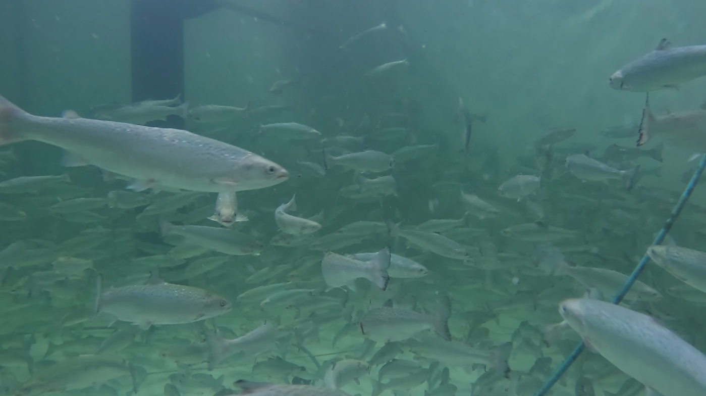 2025.11. Batch#0 RAS3 이송